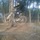 andrefilipedh