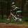 scottgregorydh
