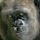 brianbear