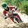 DHmonkey2991
