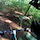 dirtbiker6015