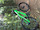 josh02