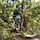 downhill401783