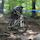 tefiii2005