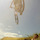 Freefall55
