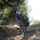 mitch4FreeRide