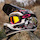 newbiker2008