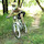 atayhardtail