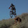 BEASTWARS