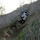 whyitride