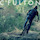 colefulton