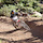 downhillpunk32
