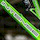 superbikes