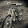tomsmith96