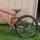 kawifreak