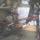 sykes17