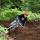 goosewings