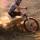 livingtoride