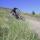 dh-racing