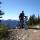 mtbmarc