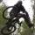 cranksta