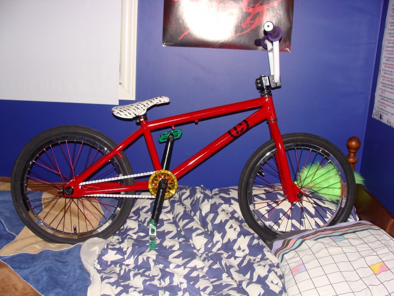 Your Bikes Life. Pbpic2887072