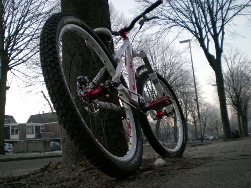 Afbeelding