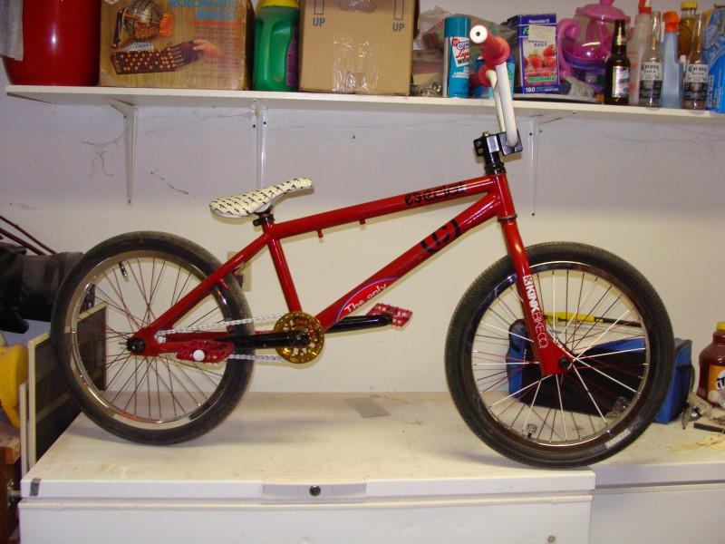 Your Bikes Life. Pbpic3106034