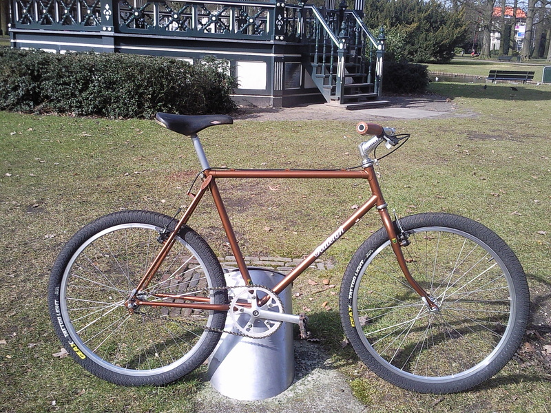 Proflex 752 Old Skool Spectopic - Pagina 2 - Mountainbike.nl